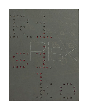 Risk.Risiko (2010)