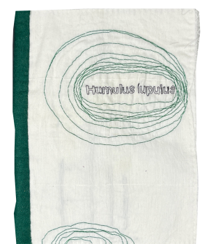 Dimova, Katya; Humulus lupulus (2023)