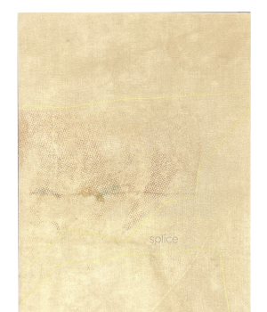 Treacy, Tricia; splice (2025)