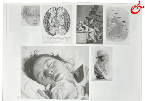 Gunnesch, Stefan; 26.928 (Schlaf) (2025) Gunnesch, Stefan; 26.928 (Schlaf) (2025)