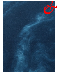 BLOW UP PRESS: Stankiewicz, Małgorzata ; viridescent, afire (2025) BLOW UP PRESS: Stankiewicz, Małgorzata ; viridescent, afire (2025)
