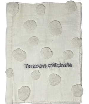 Dimova, Katya; Taraxum officinale (2023)