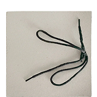 BLOW UP PRESS: Ackerman, Michael; Homesick New York (2025)