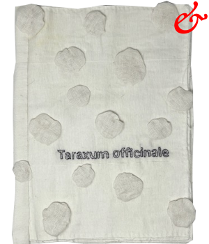 Dimova, Katya; Taraxum officinale (2023)