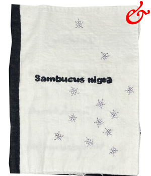 Sambucus nigra (2021)