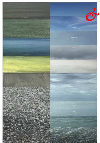 MacCallum, Marlene; where steps stop (2023)