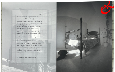 MacCallum, Marlene; Wall Stories (2014)