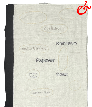 Papaver somniferum (2024)